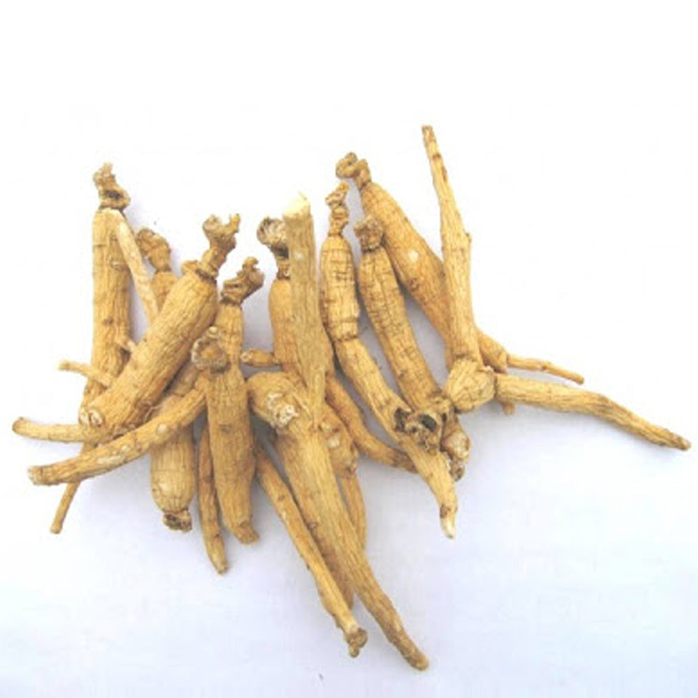 The effects of ginseng on the skin for anti-aging- Ginseng Skincare